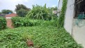 Bán đất THẠNH LỘC 19 PHƯỜNG Thạnh Lộc quận 12, Đ. 4m, giá giảm còn 6.x tỷ